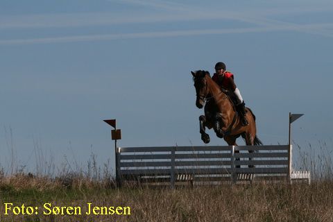 IMG_2636.JPG