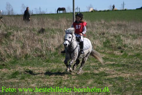 IMG_1972.JPG
