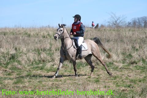 IMG_1953.JPG