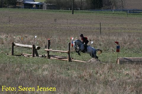 IMG_2798.JPG