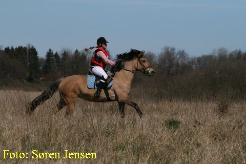 IMG_2802.JPG