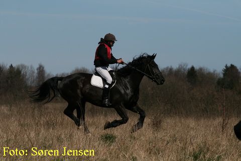 IMG_2813.JPG
