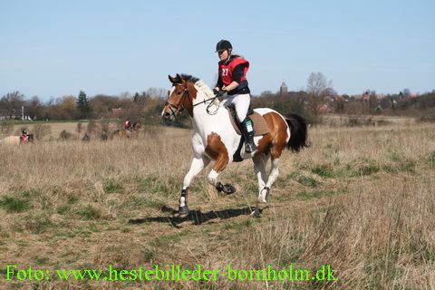 IMG_1782.JPG
