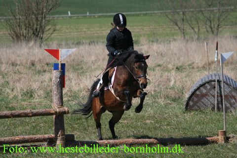 IMG_2015.JPG
