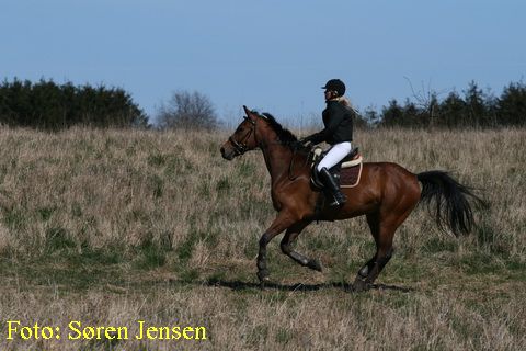 IMG_2845.JPG