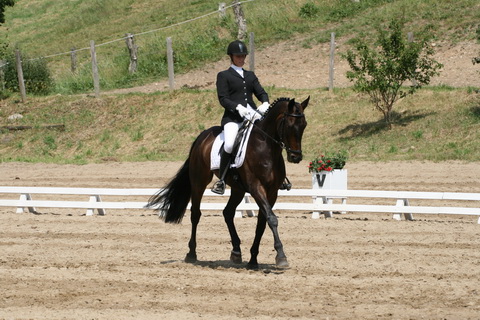 IMG_2626.JPG
