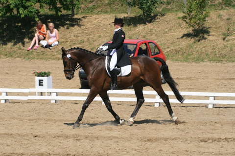 IMG_2735.JPG