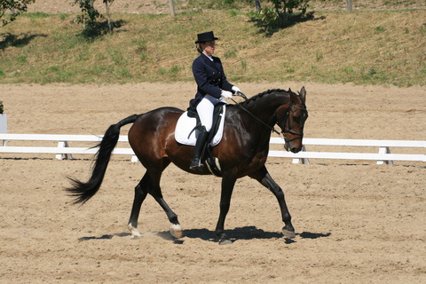 IMG_2763.JPG
