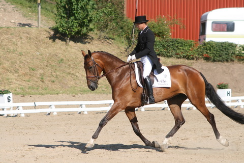 IMG_2995.JPG