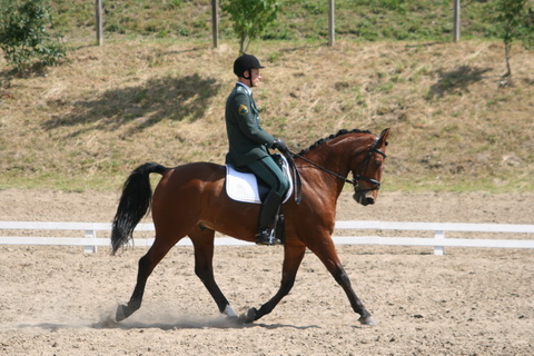 IMG_2352.JPG