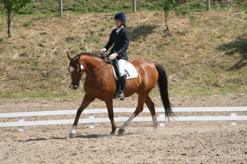 IMG_2363.JPG