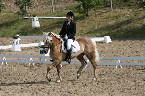 IMG_2237.JPG
