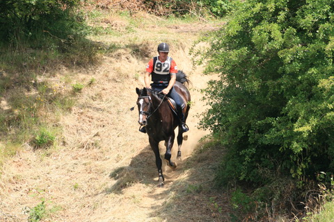 IMG_3593.JPG