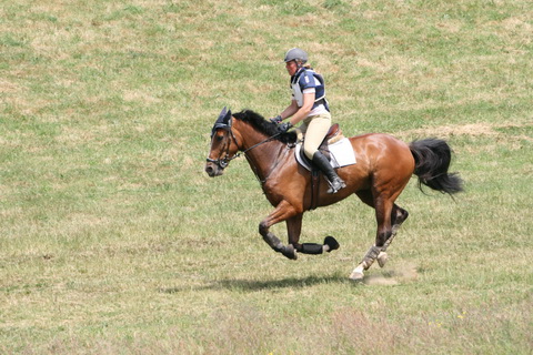 IMG_3763.JPG