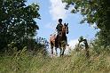 IMG_3387