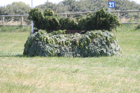 IMG_2864.JPG