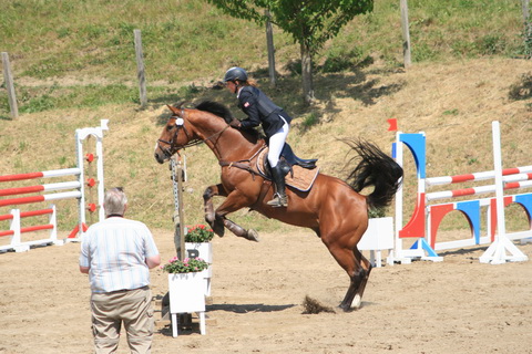 IMG_5369.JPG