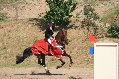 IMG_5865.JPG