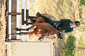 IMG_4810