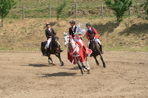 IMG_5071.JPG