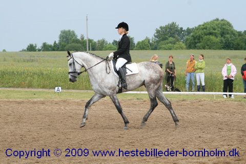 IMG_7345.JPG