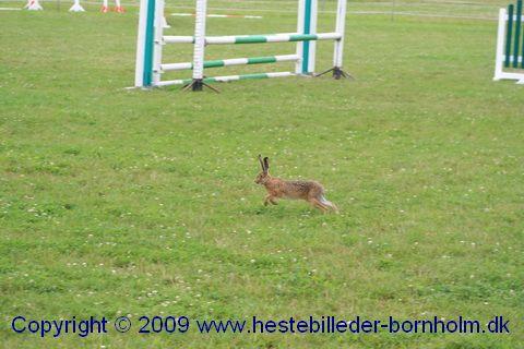 IMG_1426.JPG