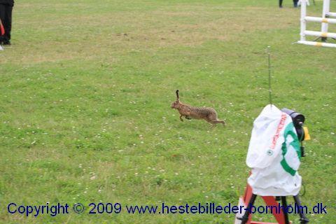 IMG_1428.JPG