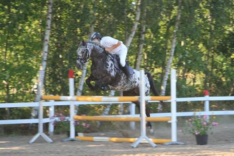 IMG_3137.JPG