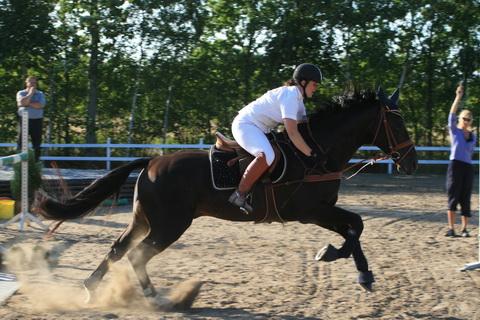 IMG_3233.JPG