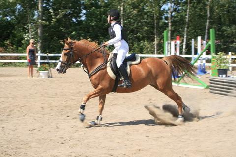 IMG_2411.JPG