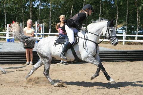 IMG_2441.JPG