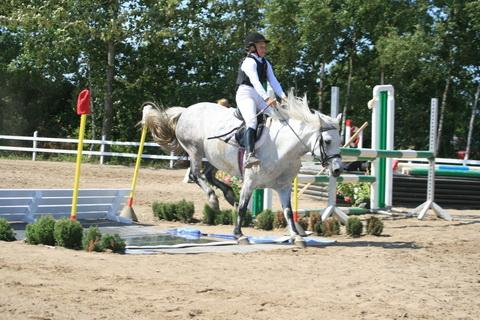 IMG_2568.JPG