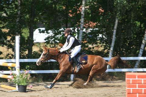 IMG_2574.JPG