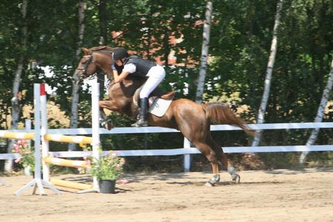 IMG_2626.JPG