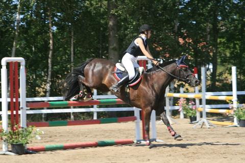 IMG_2641.JPG