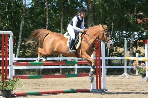 IMG_2687.JPG