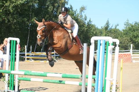 IMG_2772.JPG