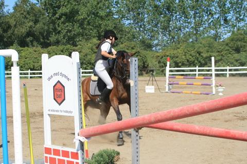 IMG_2761.JPG