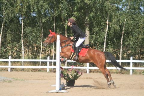 IMG_3326.JPG