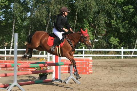 IMG_3328.JPG