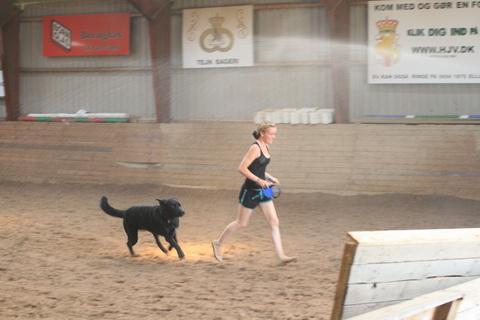 IMG_3528.JPG
