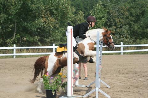IMG_3606.JPG