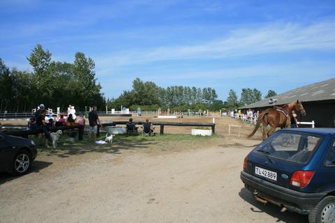 IMG_4341.JPG