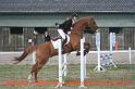 IMG_6351