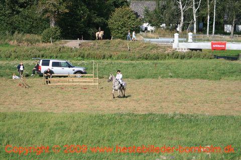 IMG_6804.JPG