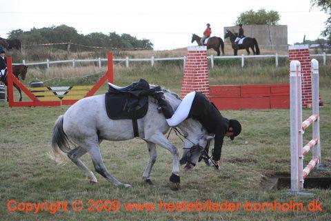 IMG_6272.JPG