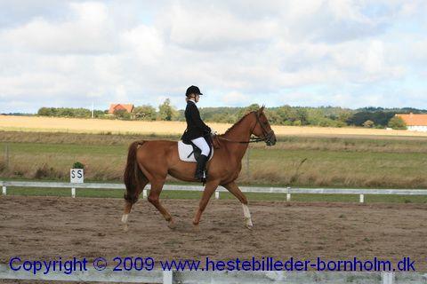 IMG_7372.JPG