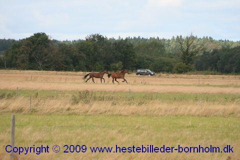 IMG_7558.JPG