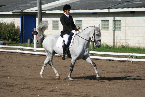 IMG_8007.JPG