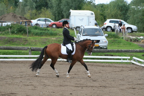 IMG_8080.JPG